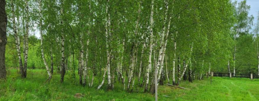 fotka 17 - Nad Strumykiem